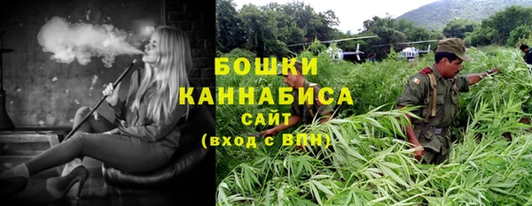 твердый Осинники