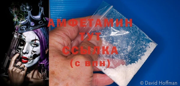 прущая мука Няндома