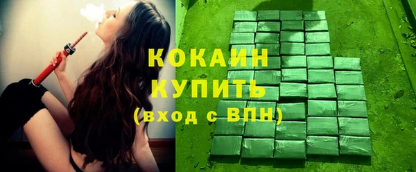 твердый Осинники