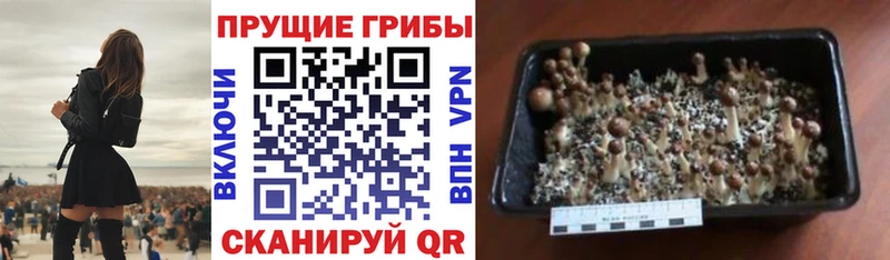 наркота  Кулебаки  Галлюциногенные грибы мухоморы 
