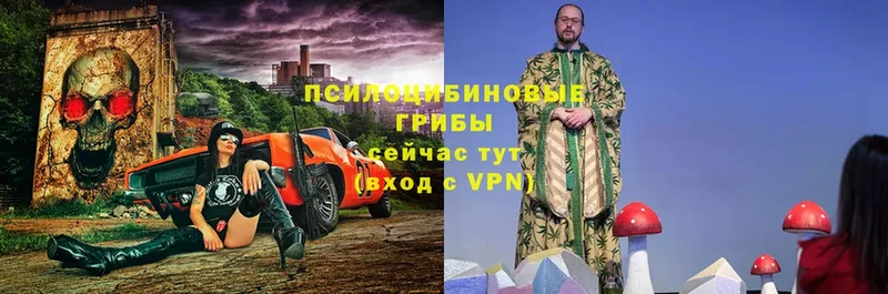 hydra   Кулебаки  Галлюциногенные грибы прущие грибы 