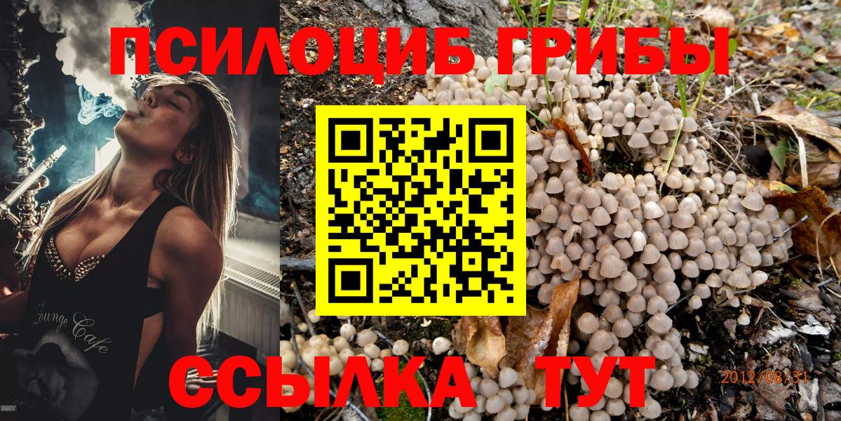 Галлюциногенные грибы Psilocybine cubensis Кулебаки