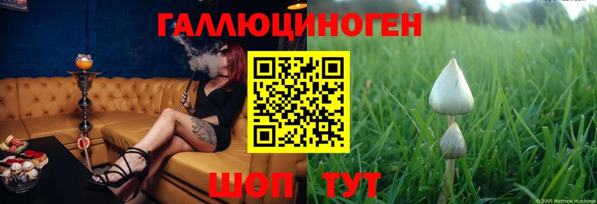 Псилоцибиновые грибы MAGIC MUSHROOMS  Кулебаки  Галлюциногенные грибы Cubensis 