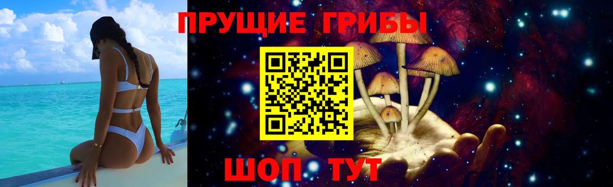 Кулебаки  Псилоцибиновые грибы MAGIC MUSHROOMS  Вход с VPN 